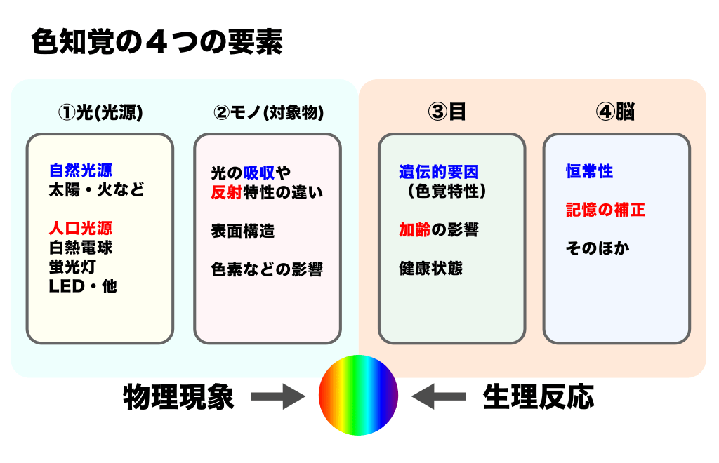 色の知覚に関わる４つの要素