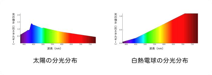 太陽と白熱電球の分光分布の違い